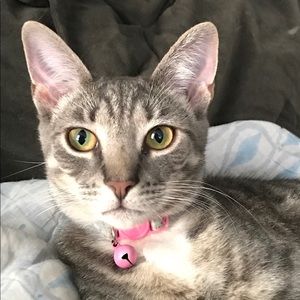 Meet your Posher, Lilli